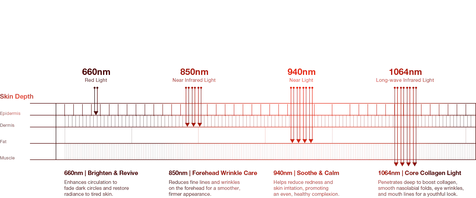 Light spectrum diagram of the 4D Laser Light Therapy Mask output with wavelengths and their corresponding effects on skin.