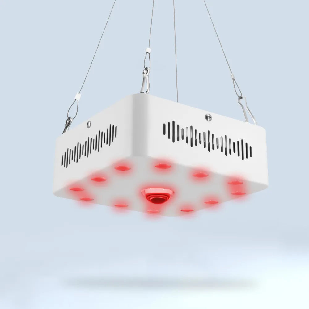 f92a88054d5fa74341b59293e611424e8d61a94af3aec51763bbe9754f366d275a0fbf333ec886fdf1b2bf74710d8542a99f1df76ebf60a21aff5417cafd5b6e3292bed0dca8efcdc0b454a10c9e2c9f2da61c743a55fff42be35c6.png?v=1741792748&width=1946